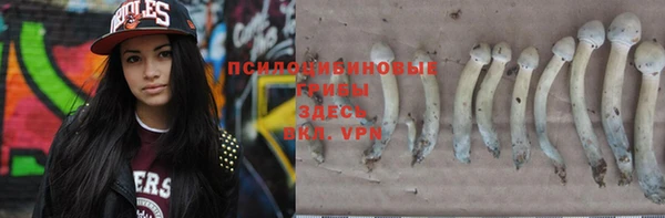 гашик Остров