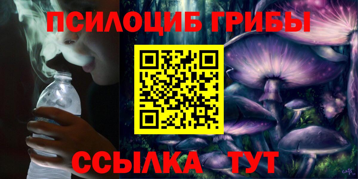Псилоцибиновые грибы Cubensis Владимир