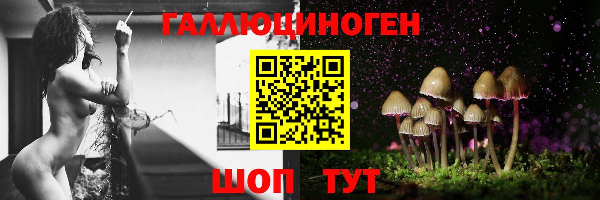 Владимир  Псилоцибиновые грибы GOLDEN TEACHER  Вход с VPN 